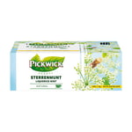 Afbeelding van Pickwick Sterrenmunt thee met envelop | 100 stuks | PIC4090412