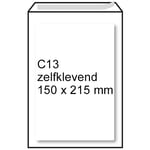 Afbeelding van Raadhuis paklijst envelop | onbedrukt | zelfklevend | DL | 225 mm x 122 mm | 1000 stuks | RAARD-310300