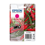 Afbeelding van Epson 503 inktcartridge magenta (origineel) | EPSC13T09Q34010