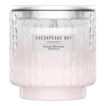 Afbeelding van Chesapeake Bay Geurkaars | Ocean Blossom | 2-wick | 227 gram | CH1096NA1769
