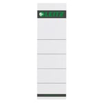 Afbeelding van Leitz 1607 rugetiketten | breed | karton | 57 mm x 191 mm | 10 etiketten | LEI16070085