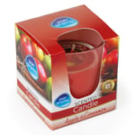Afbeelding van Pan Aroma Geurkaars | Apple & Cinnamon | 265 gram | QC-PAN-04296