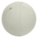 Afbeelding van Leitz Ergo Cosy actieve zitbal | lichtgrijs | 55 cm | tot 120 kg | LEI65410085