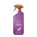 Afbeelding van Bruynzeel Spiegel & Glasreiniger | Anti-Condens | Fresh Wood | 500 ml | QC-BRU-00184