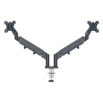 Afbeelding van Leitz 65370089 Ergo monitorarm | 2 monitoren | 17 - 32 inch | donkergrijs | tot 9 kilo | LEI65370089