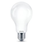 Afbeelding van Philips E27 led-lamp | 17.5W (150W) | mat | helder wit | peermodel | PHI929002372701