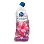 Afbeelding van Ambi Pur Active Toiletgel | Pink Hibiscus | 750 ml | QC-AM-00049