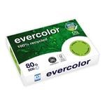 Afbeelding van Clairefontaine Evercolor gerecycled papier | lime-groen | A4 | 80 gr. | 500 vel | CLA40027C