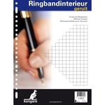 Afbeelding van Kangaro ringbandinterieur | A4 | geruit | 10mm | 23-rings | 60gr. | 100 vel | KANK-56012