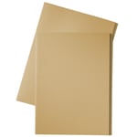 Afbeelding van Esselte inlegmap | karton | 10 mm overslag | folio | crème | 100 stuks | ESS1032404