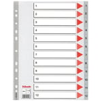 Afbeelding van Esselte 100106 A4 index | plastic | 1-12 | 11-gaats | ESS100106
