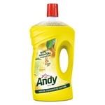 Afbeelding van Andy allesreiniger | citrus | 1 liter | QC-AN-00303