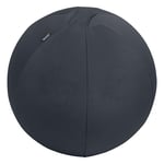 Afbeelding van Leitz Ergo Cosy actieve zitbal | donkergrijs | 65 cm | tot 150 kg | LEI65420089