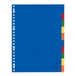 Afbeelding van Kangaro plastic tabbladen | plastic | gekleurd | 10 tabs | KANA410FM