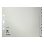 Afbeelding van Leitz grijze kartonnen index | A4 | grijs | 20 tabs | 2-gaats | LEI12120085