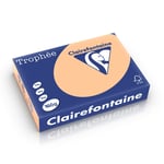 Afbeelding van Clairefontaine papier | abrikoos | A4 | 160 gr. | 250 vel | CLA1011PC