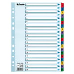 Afbeelding van Esselte 100163 A4 index | karton | 1-20 | 11-gaats | ESS100163