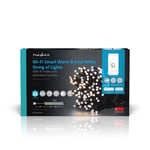 Afbeelding van Nedis SmartLife LED kerstverlichting  | wifi | 100 lampjes | 10 meter | warm/koud wit | NEDWIFILX02W100
