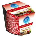 Afbeelding van Pan Aroma Geurkaars | Apple & Cinnamon | 250 gram | QC-PAN-04262