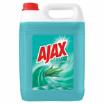 Afbeelding van Ajax allesreiniger | eucalyptus | 5 liter | QC-AJ-00038