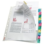 Afbeelding van Esselte premium index showtas | 12 tabs | ESS414170
