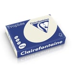 Afbeelding van Clairefontaine papier | parelgrijs | A4 | 160 gr. | 250 vel | CLA1041PC
