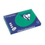 Afbeelding van Clairefontaine papier | dennengroen | A3 | 120 gr. | 250 vel | CLA1384C