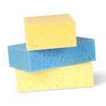 Afbeelding van Sponsjes | 3 stuks | QC-HH-00021