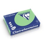 Afbeelding van Clairefontaine papier | natuurgroen | A4 | 160 gr. | 250 vel | CLA1120PC