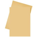 Afbeelding van Esselte inlegmap | papier | A4 | oranje | 250 stuks | ESS2103413