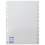 Afbeelding van Esselte 100153 A4 tabbladen | plastic | 1-12 | 11-gaats | ESS100153