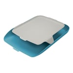 Afbeelding van Leitz 52590061 Cosy brievenbak | A4 | polystyreen | sereen blauw | 1 stuk | LEI52590061