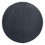 Afbeelding van Leitz Ergo Cosy actieve zitbal | donkergrijs | 75 cm | tot 150 kg | LEI65430089