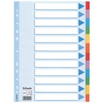 Afbeelding van Esselte 100194 A4 tabbladen | gekleurd karton | 12 tabs | 11-gaats | ESS100194