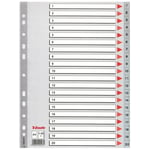 Afbeelding van Esselte 100107 A4 index | plastic | 1-20 | 11-gaats | ESS100107
