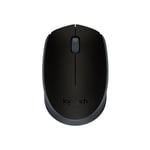 Afbeelding van Logitech M171 muis | optisch | draadloos | USB | zwart | LOG910-004424