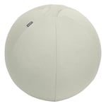 Afbeelding van Leitz Ergo Cosy actieve zitbal | lichtgrijs | 75 cm | tot 150 kg | LEI65430085