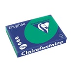 Afbeelding van Clairefontaine papier | dennengroen | A4 | 120 gr. | 250 vel | CLA1224PC