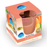Afbeelding van Pan Aroma Geurkaars | Cashmere & Apricot | 265 g | QC-PAN-04368