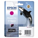 Afbeelding van Epson T7603 inktcartridge vivid magenta (origineel) | EPST7603