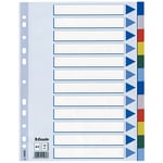 Afbeelding van Esselte 15262 A4 tabbladen | gekleurd plastic | 12 tabs | 11-gaats | ESS15262