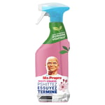 Afbeelding van Mr. Proper Ontvetter Allesreiniger Spray | Kersenbloesem | 500 ml | QC-MR-00051