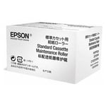 Afbeelding van Epson S210048 maintenance roller (origineel) | EPSS210048