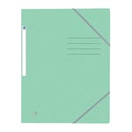 Afbeelding van Oxford 400116356 Top File+ elastomap | A4 | karton | pastelgroen | tot 200 vel | OXF400116356