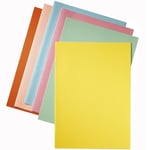 Afbeelding van Esselte inlegmap | papier | A4 | assorti | 50 stuks | ESS2103450