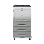 Epson AcuLaser C9300D3TNC
