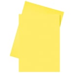 Afbeelding van Esselte inlegmap | papier | A4 | geel | 250 stuks | ESS2103406