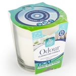 Afbeelding van Pan Aroma Geurkaars | Odour Eliminating | 85 g | QC-PAN-04252