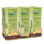 Afbeelding van Pickwick Professional Green Tea Ginger & Lemongrass | 3 x 25 stuks | PIC421030