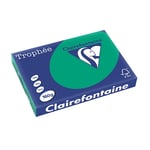 Afbeelding van Clairefontaine papier | dennengroen | A3 | 160 gr. | 250 vel | CLA1046C